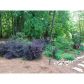 1054 Foreststone Way Sw, Marietta, GA 30064 ID:12775287