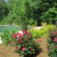 205 Stillwater Lane, Dallas, GA 30132 ID:12771397