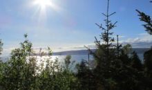 L1 B2 Bear Cove Homer, AK 99603