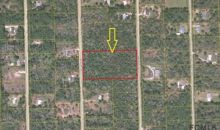 0 Hickory Ct Bunnell, FL 32110