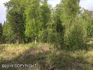 11619 Soapstone Road, Palmer, AK 99645