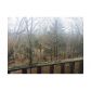 2900 Hickory Lane, Rocky Face, GA 30740 ID:12847393