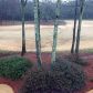 2736 Eudora Trail, Duluth, GA 30097 ID:11648741