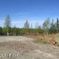 10367 W Forest Lake Dr, Wasilla, AK 99654 ID:12738952