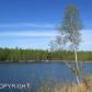 10367 W Forest Lake Dr, Wasilla, AK 99654 ID:12738953