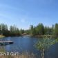 10367 W Forest Lake Dr, Wasilla, AK 99654 ID:12738954