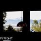 1081 N Larkspur Circle, Homer, AK 99603 ID:12798367