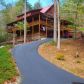 65 Jenkins Trail, Blairsville, GA 30512 ID:12776293