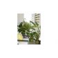 800 WEST AV # 338, Miami Beach, FL 33139 ID:12931103