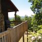 94 Red Holly Road, Blue Ridge, GA 30513 ID:12949218