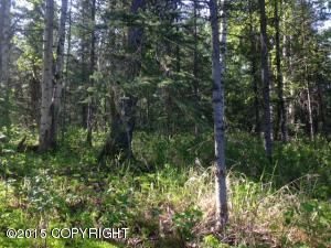 6542 E Spruce Hen Drive, Wasilla, AK 99654