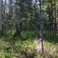 6542 E Spruce Hen Drive, Wasilla, AK 99654 ID:12878805