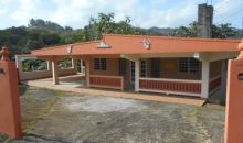 Km 3.5 Fronton Ward Ciales, PR 00638