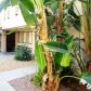 419 Bradshaw Lane Unit 60, Palm Springs, CA 92262 ID:12790321