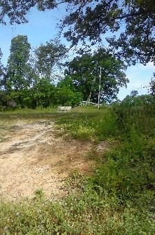 392 Summitt Hill Rd, Bulls Gap, TN 37711