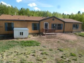 430 Friar Tuck Dr, Divide, CO 80814