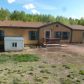 430 Friar Tuck Dr, Divide, CO 80814 ID:12965380