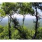 812 Mcelroy Mountain Drive, Jasper, GA 30143 ID:12955751