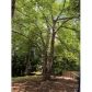 2447 Sewell Mill Road, Marietta, GA 30062 ID:12818221