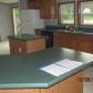 309 Welton Street, Ionia, MI 48846 ID:12978544