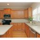 335 Walnut Hills Crossing, Canton, GA 30114 ID:12818334