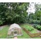 3380 Woodward Court, Buford, GA 30519 ID:12941383