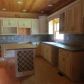 581 Dover Falls Trail, Ellijay, GA 30540 ID:13018771