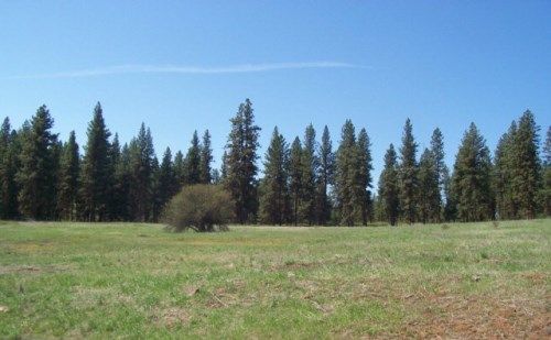 Lot 22 Timber Ridge Drive, New Meadows, ID 83654