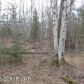 866 W Lone Cub Drive, Wasilla, AK 99654 ID:12261364