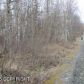 866 W Lone Cub Drive, Wasilla, AK 99654 ID:12261369