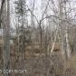 866 W Lone Cub Drive, Wasilla, AK 99654 ID:12261371