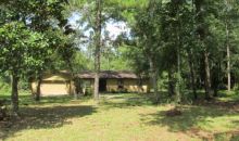 3008 Alpaca Avenue Middleburg, FL 32068