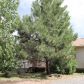 1443 Goldie St, Lakeside, AZ 85929 ID:13044391