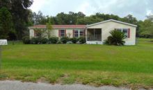 1223 Gwaltney Place Dover, FL 33527