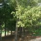 5410 Vineyard Park Trail Lane, Norcross, GA 30071 ID:13031207