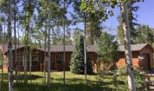 22503 Cheyenne Trl Oak Creek, CO 80467