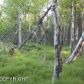 5200 Rabbit Creek Road, Anchorage, AK 99516 ID:13019583