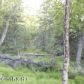 5200 Rabbit Creek Road, Anchorage, AK 99516 ID:13019586