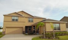 10829 Carloway Hills Dr Wimauma, FL 33598