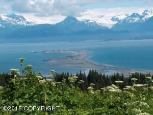 276 Tulin Terrace Drive, Homer, AK 99603