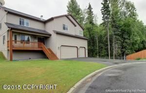 11627 Frances Elaine Circle, Anchorage, AK 99515