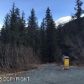 621 Vail Drive, Girdwood, AK 99587 ID:13073376