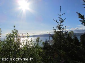 L1 B2 Bear Cove, Homer, AK 99603