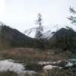 L4 Flyfishing Lane, Girdwood, AK 99587 ID:13073383