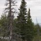 17501 Snow Crest Lane, Anchorage, AK 99516 ID:13035624