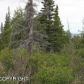 17501 Snow Crest Lane, Anchorage, AK 99516 ID:13035625