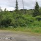 17501 Snow Crest Lane, Anchorage, AK 99516 ID:13035629