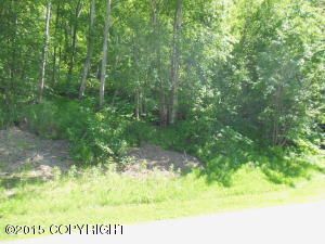 L9 Country View Drive, Chugiak, AK 99567