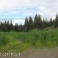 57692 Rancho Court, Homer, AK 99603 ID:12843933