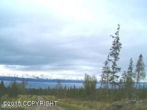 L4A Wilshire Drive, Homer, AK 99603